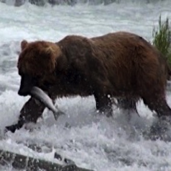 Screen Shot 2016-07-08 at 9.21.17 PM.jpg